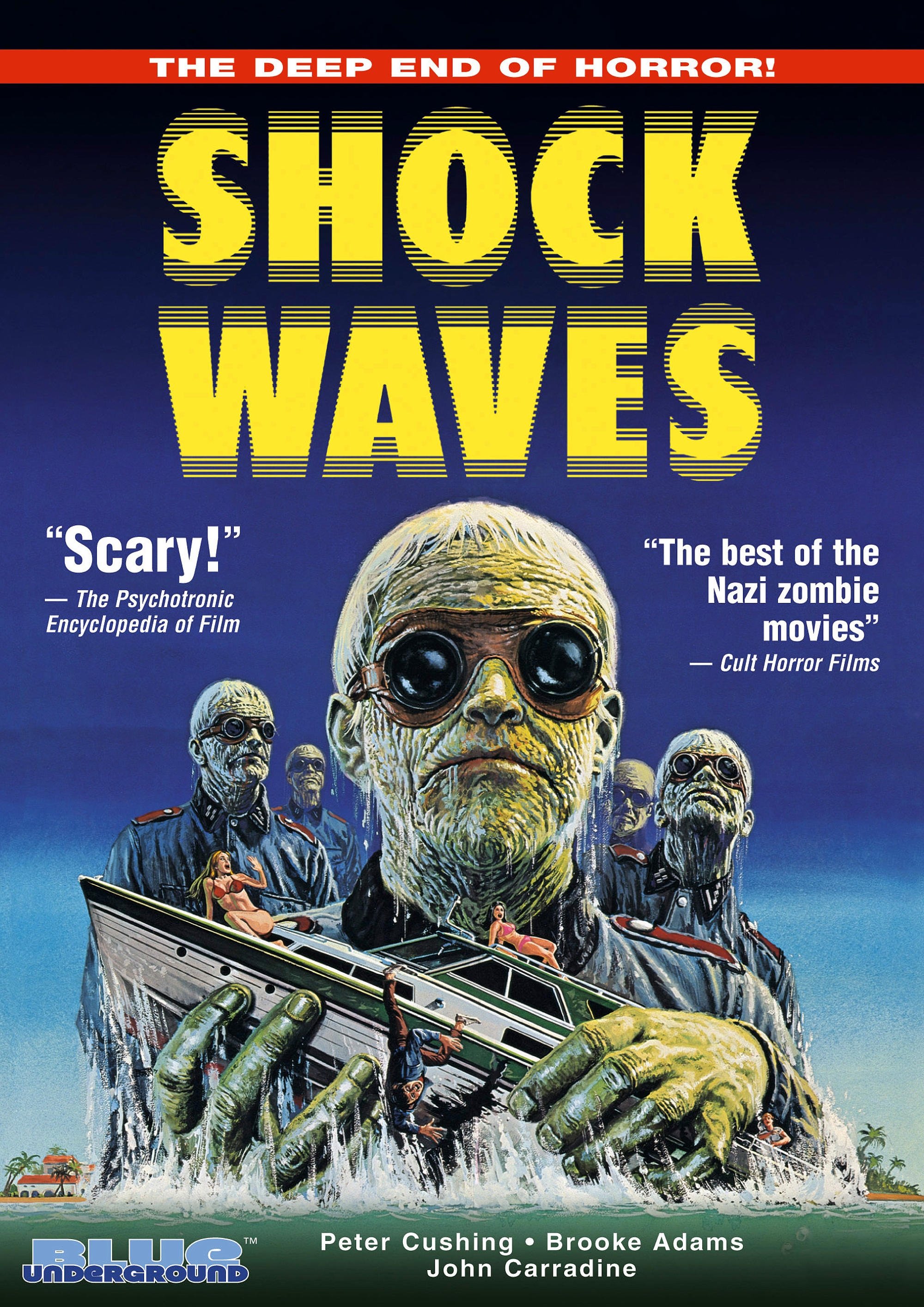 Shock Waves