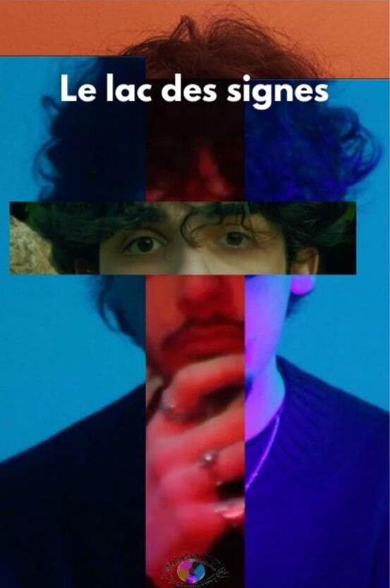 poster movie Le lac des signes