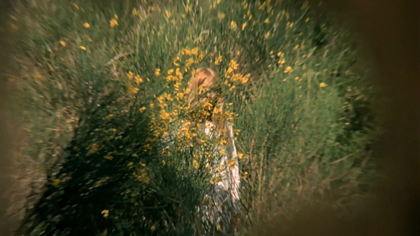 The Demise of Father Mouret