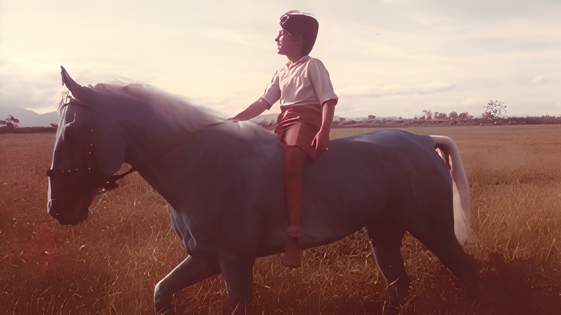 The Blue Horse (1984)