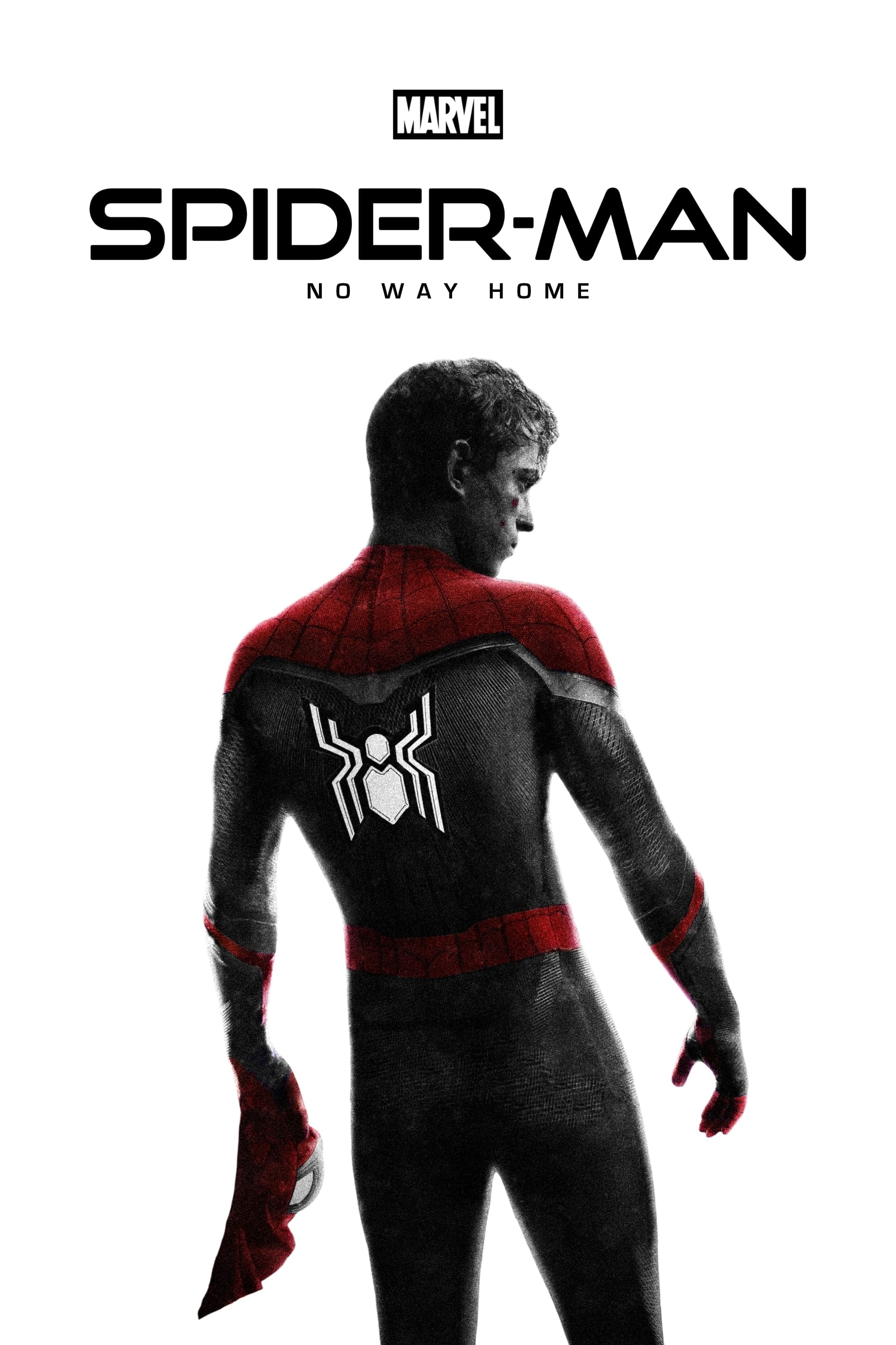 Spider-Man: No Way Home