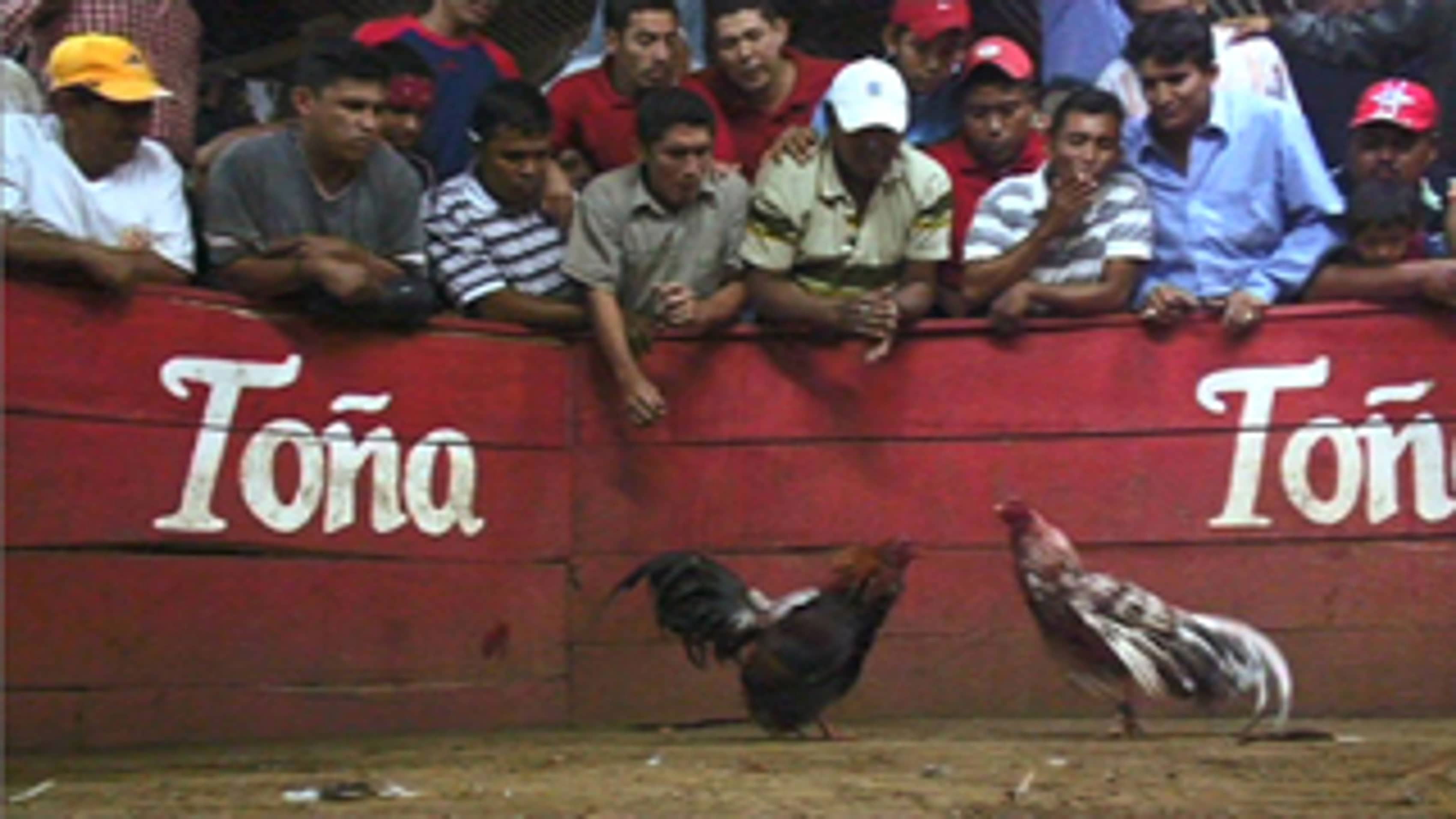 Thumbnail for Episode 7 Season 1 Episode 7