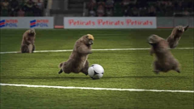 Les Marmottes - Football