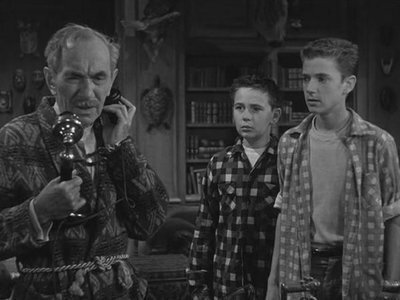 The Hardy Boys