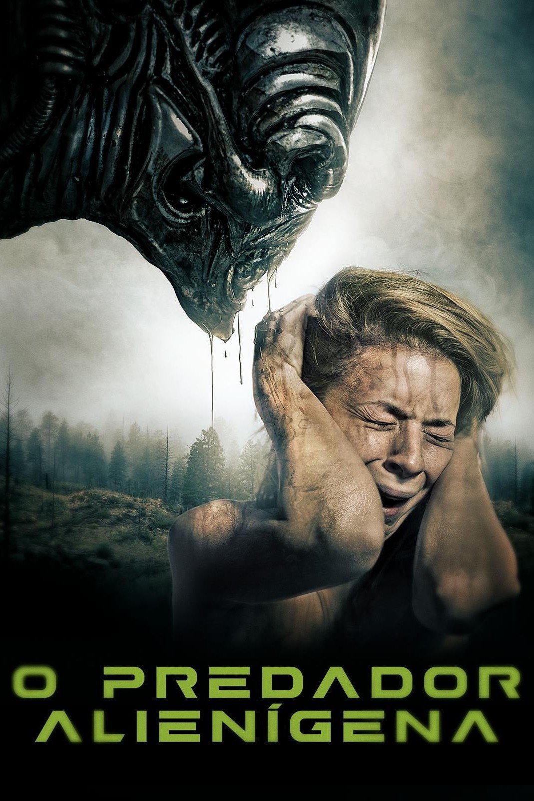 O Predador Alienígena
