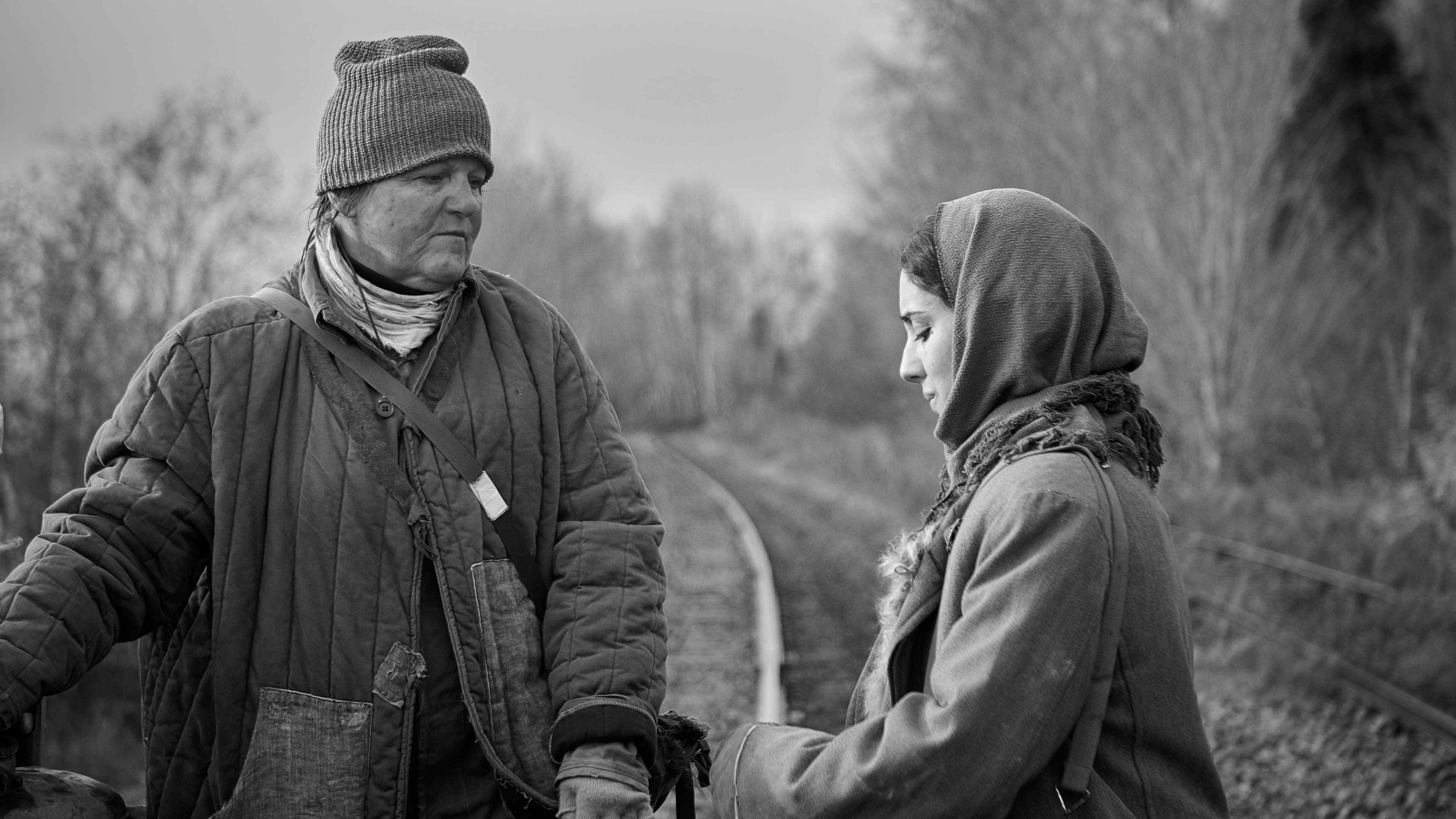 No Trace (2021)