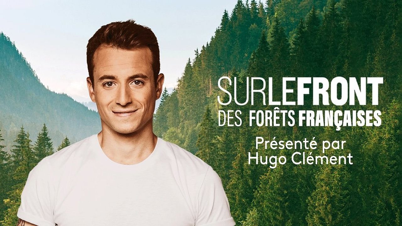 Sur le front - Des forêts françaises