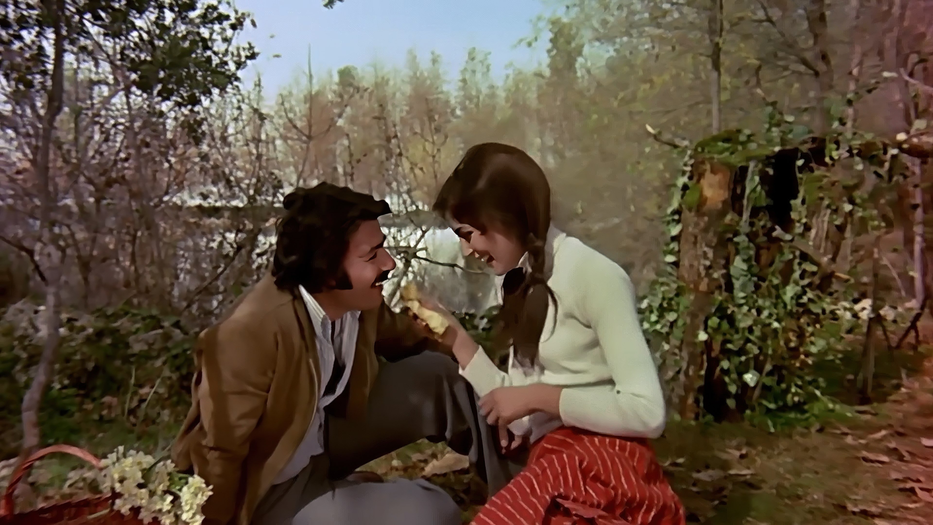 Çeşme (1977)
