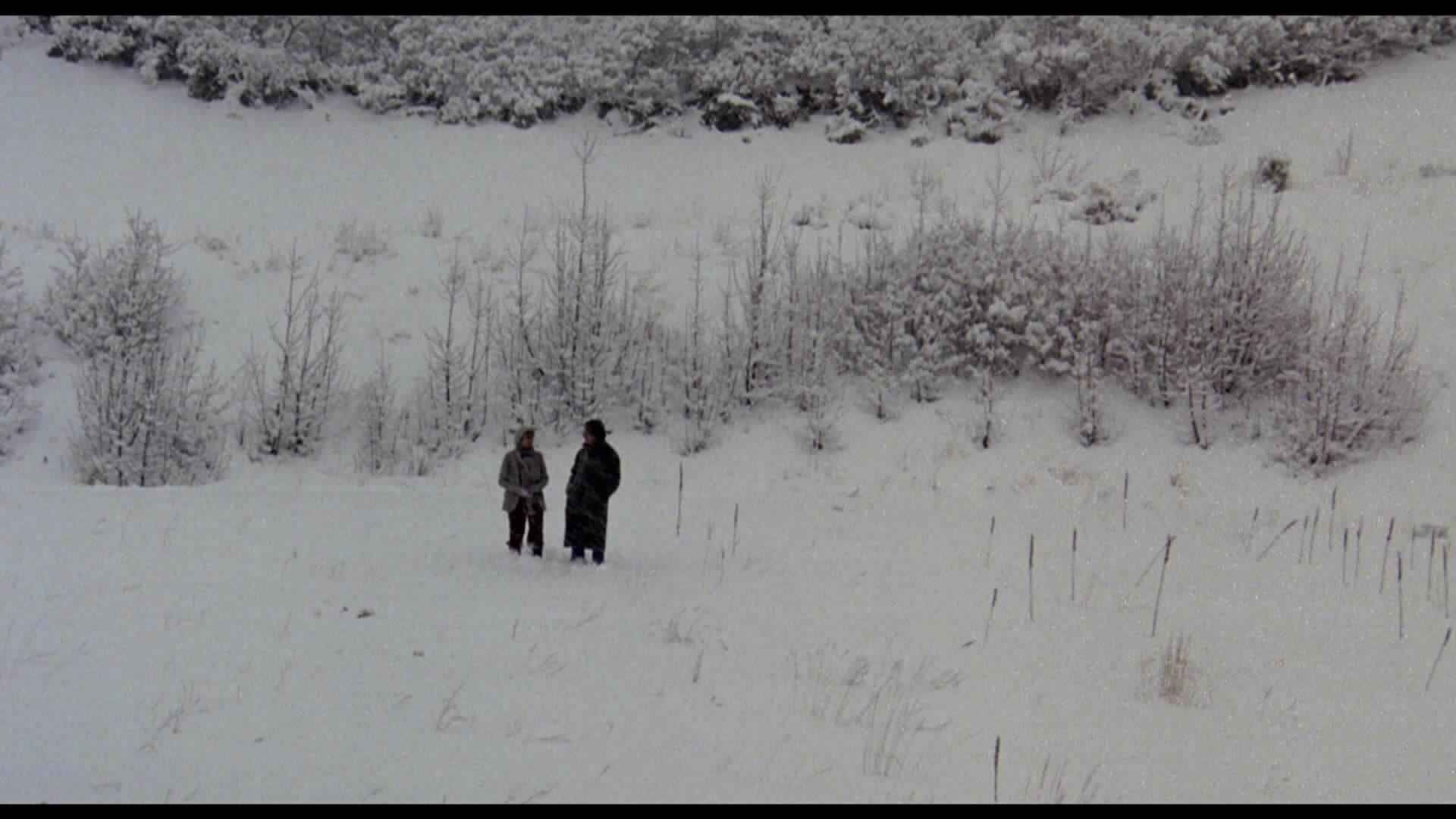 Gélidas escenas invernales (1979)