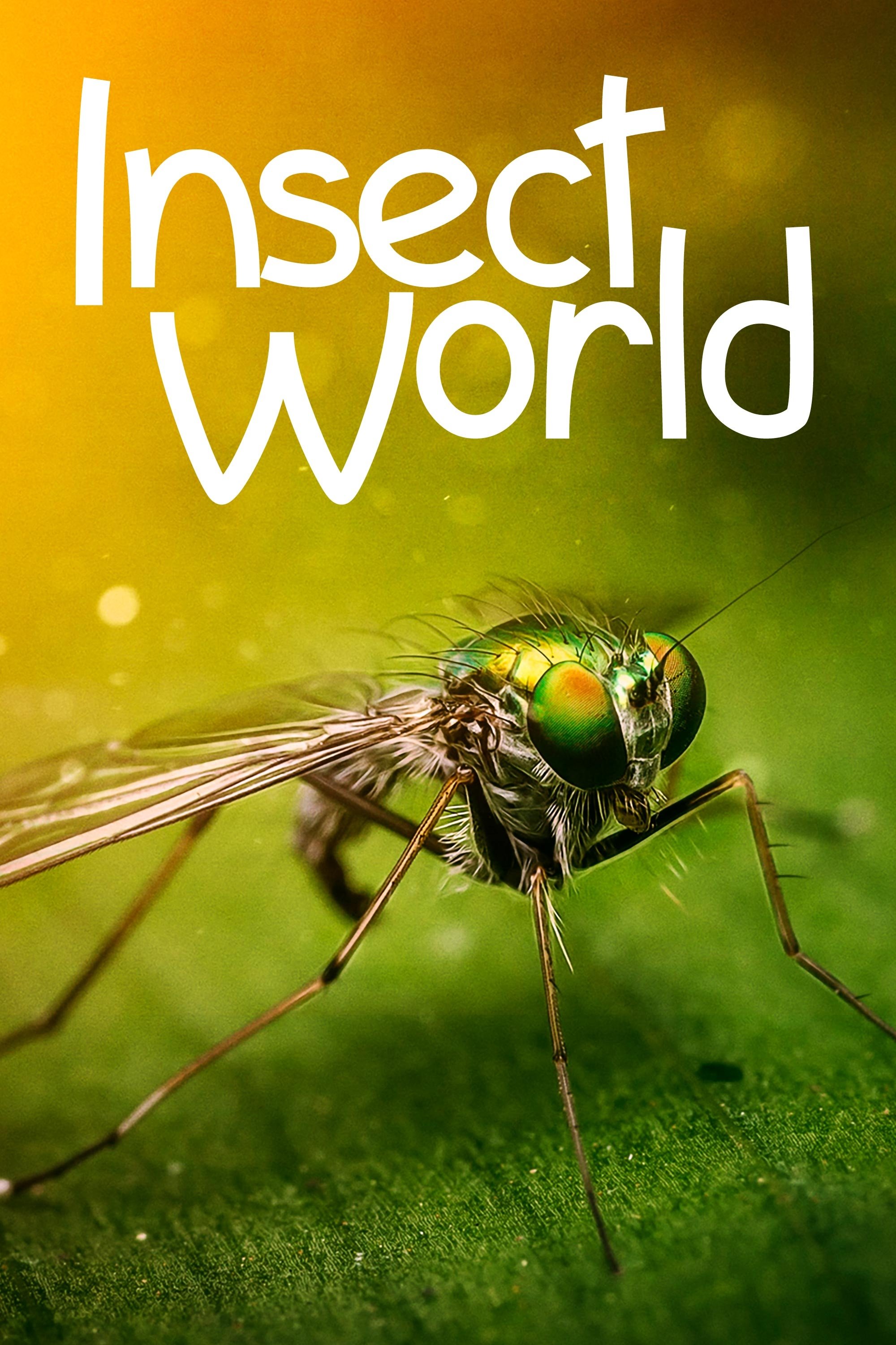 Insect World
