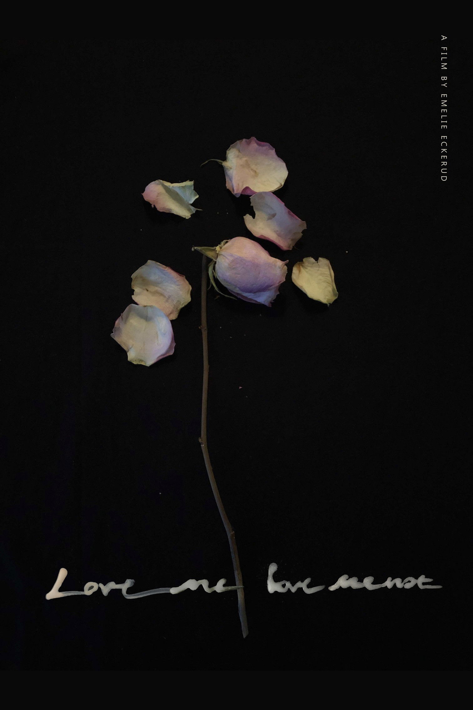 Love me, love me not