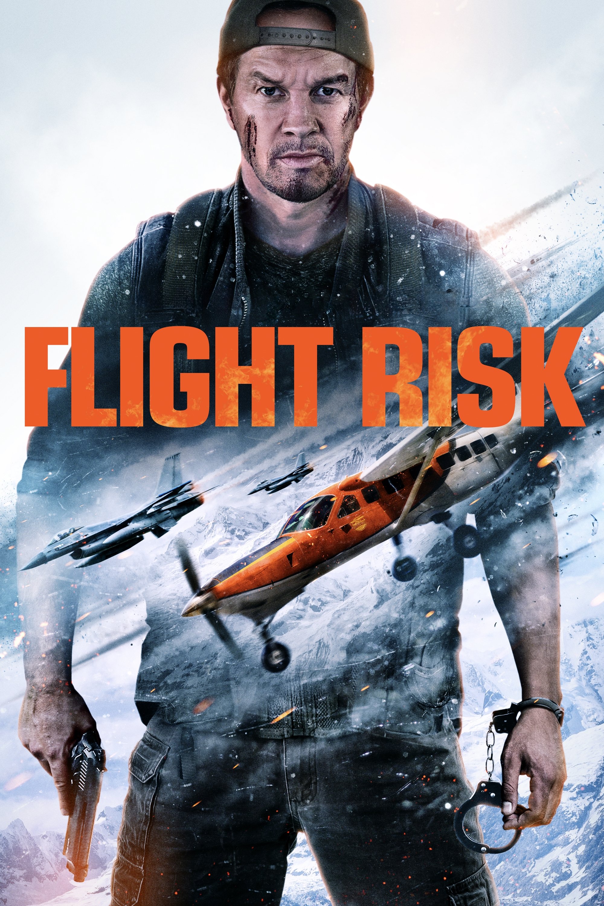 Flight Risk poster image