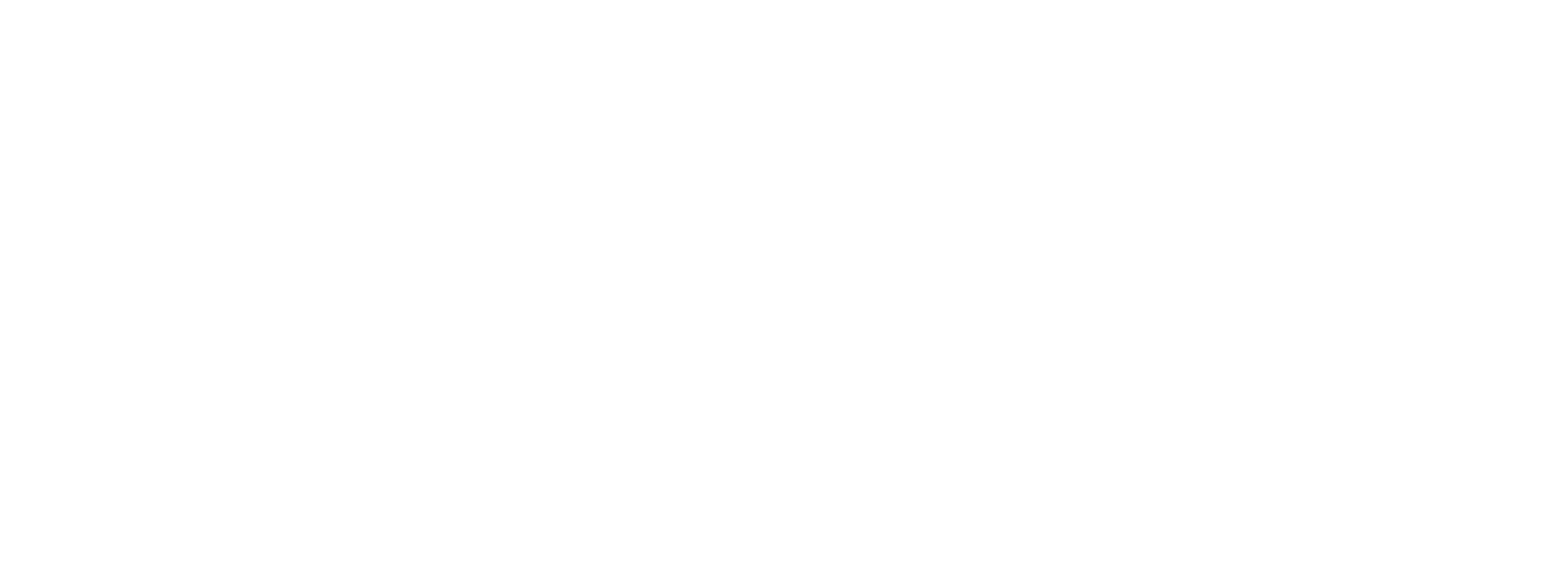 Braddock: Missing in Action III