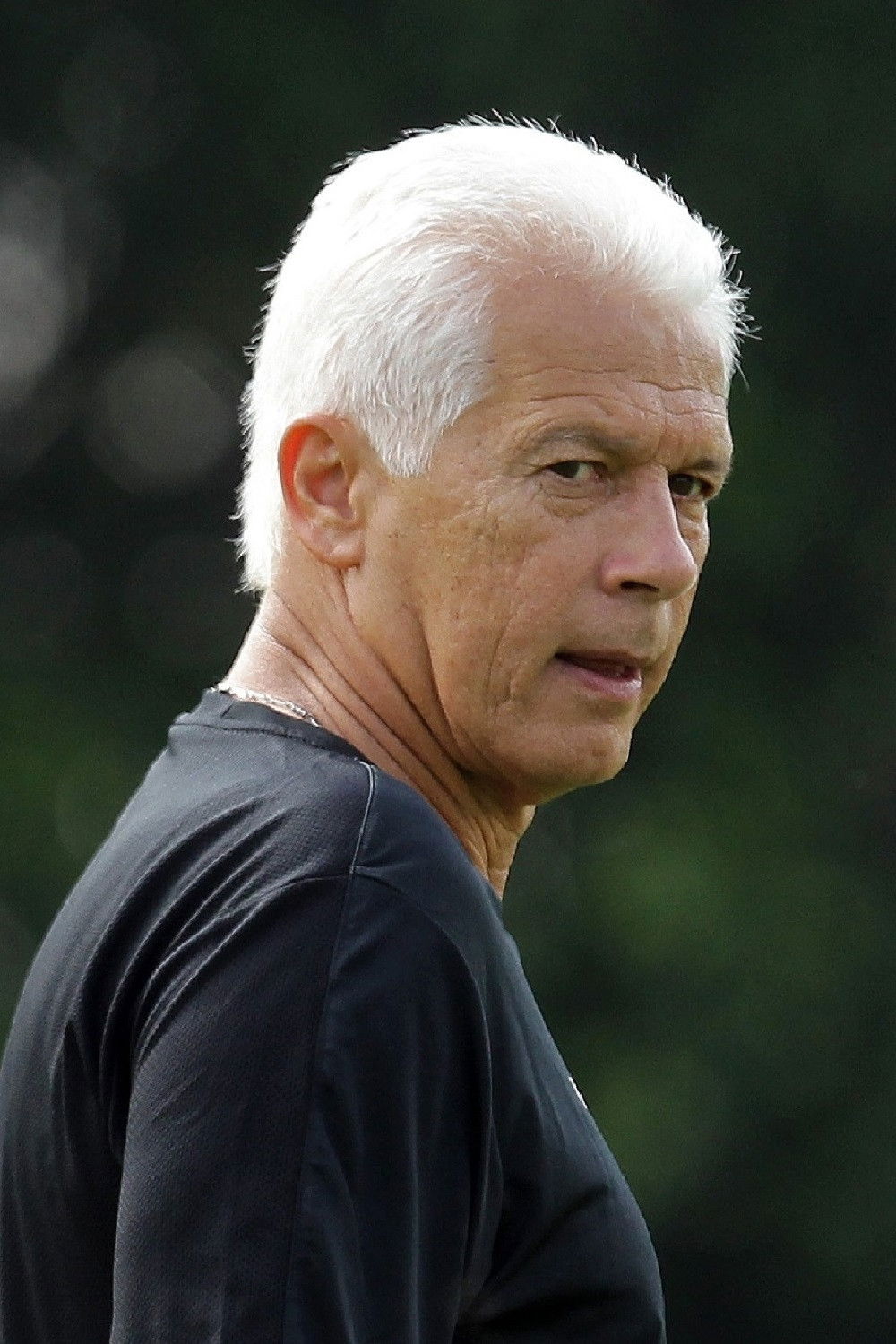 et billede af Emerson Leão