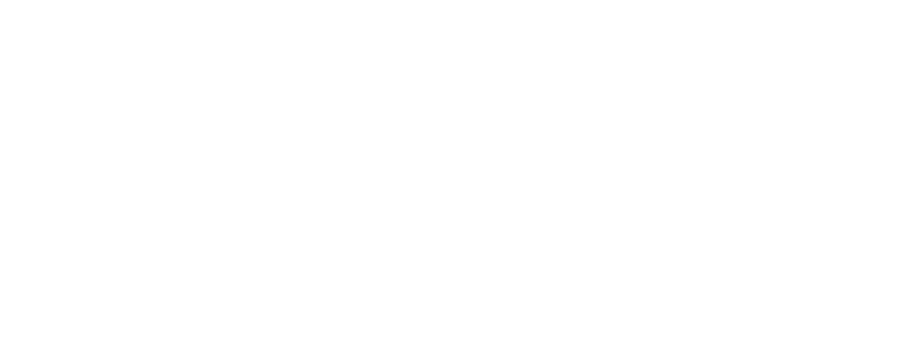 Bão Tố Cuộc Đời Logo