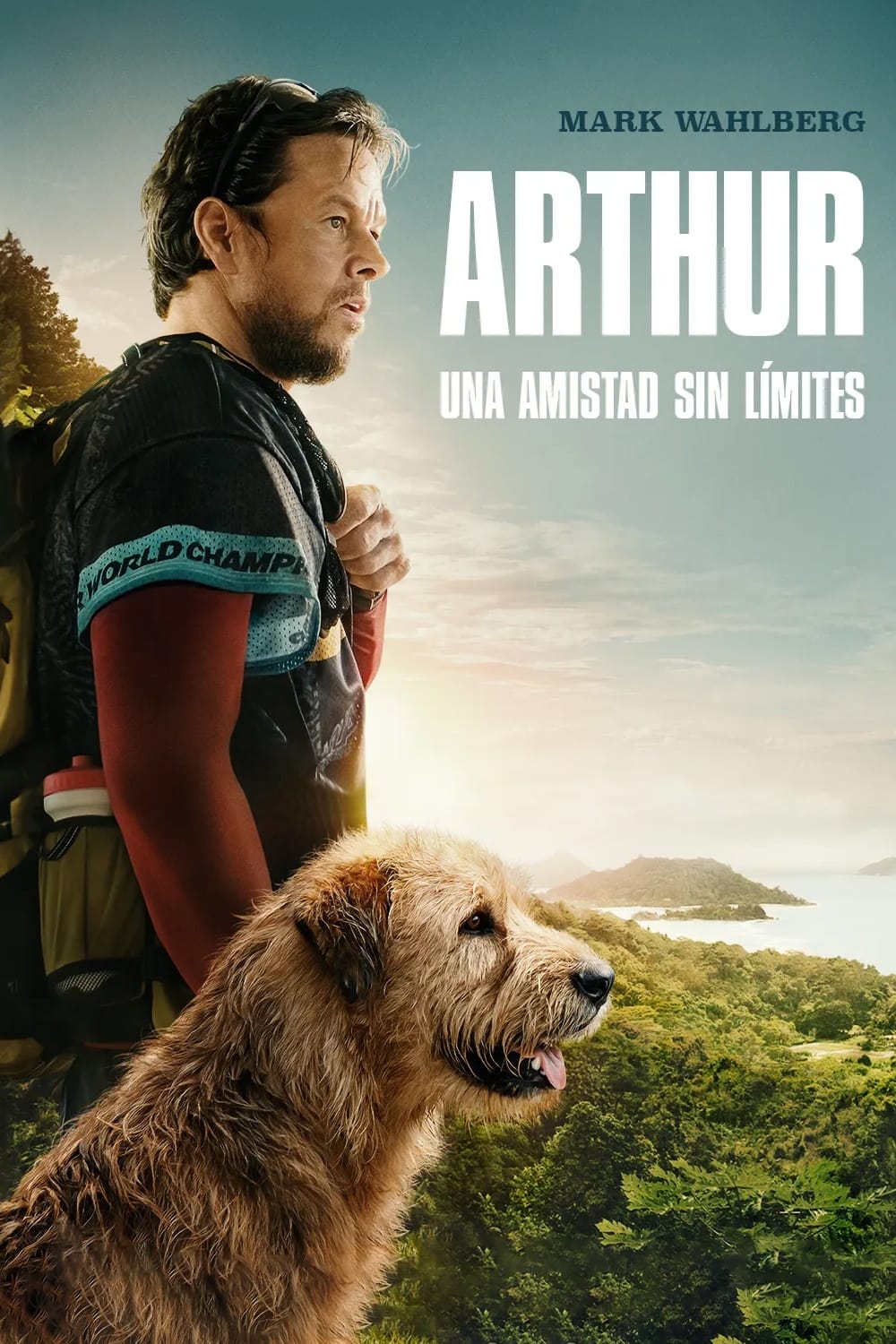 Poster de Arthur