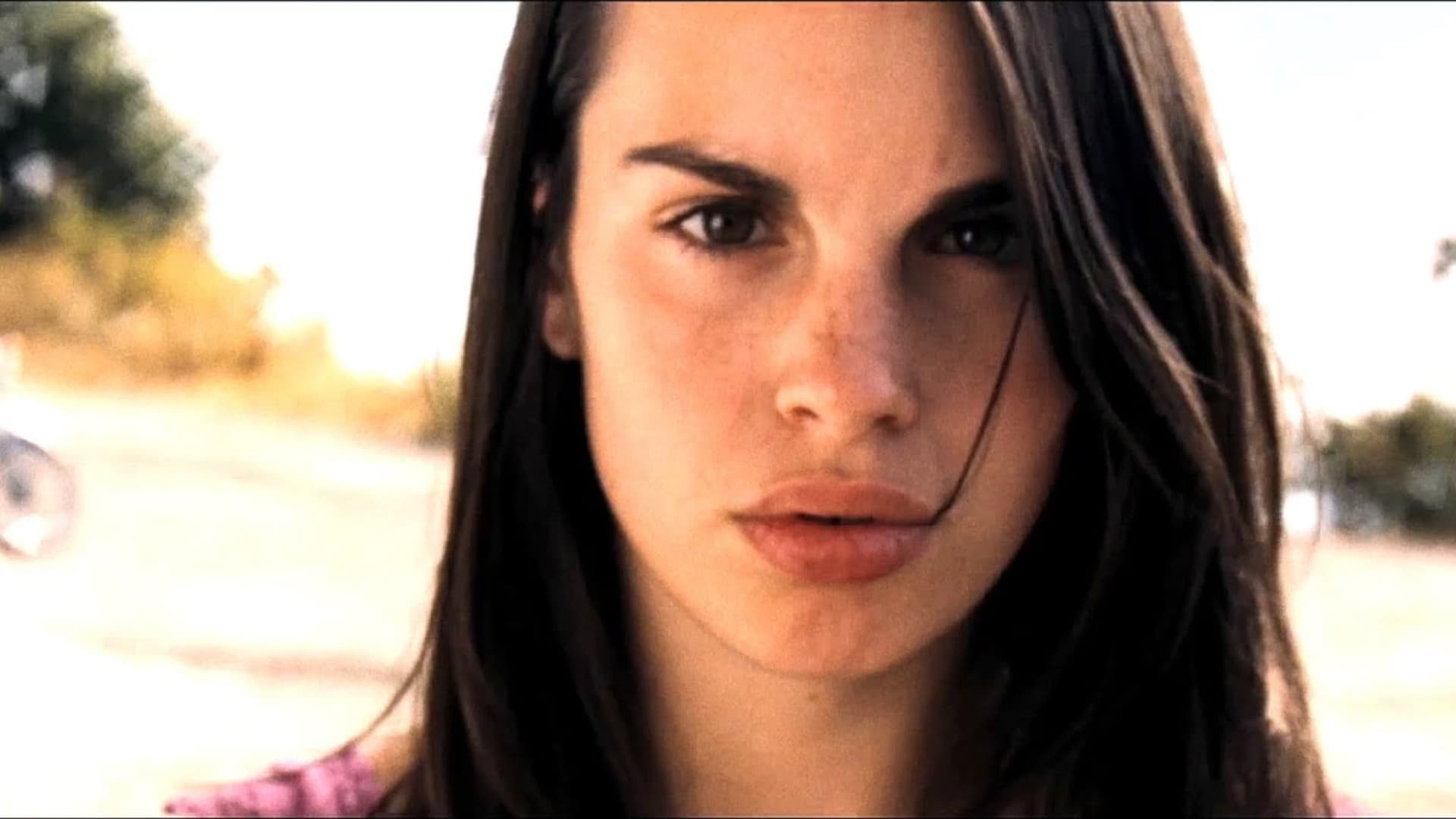 Amer (2009)