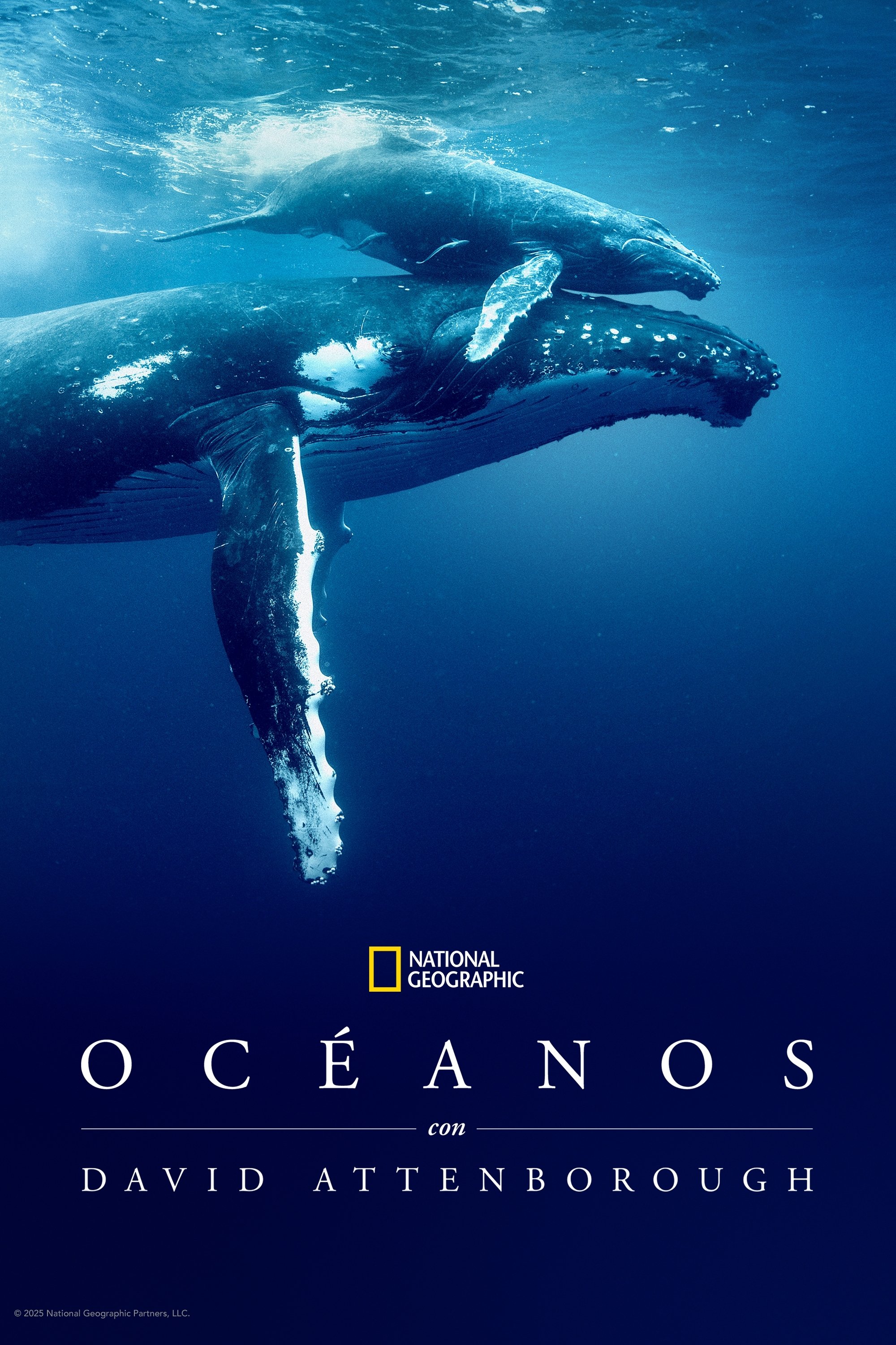 Océanos con David Attenborough