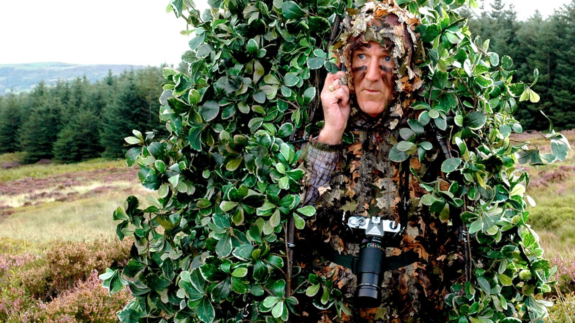 Last of the Summer Wine