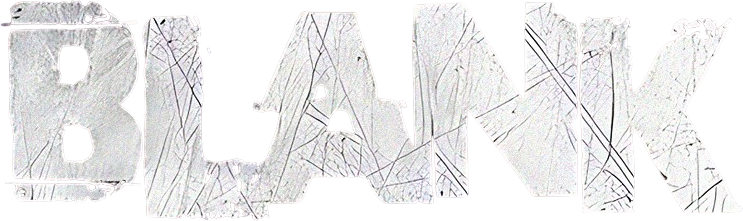 Blank Logo