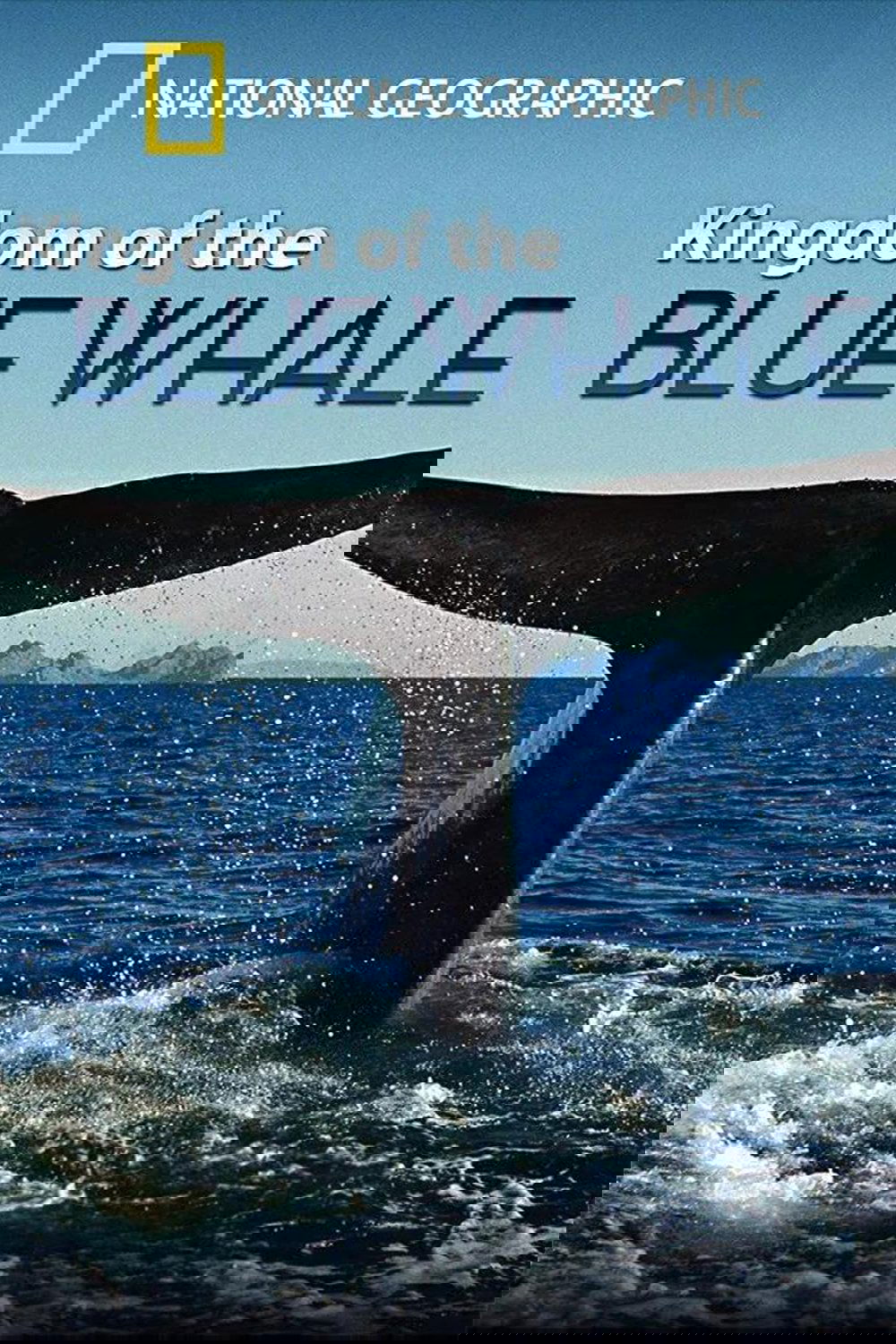 Kingdom of the Blue Whale