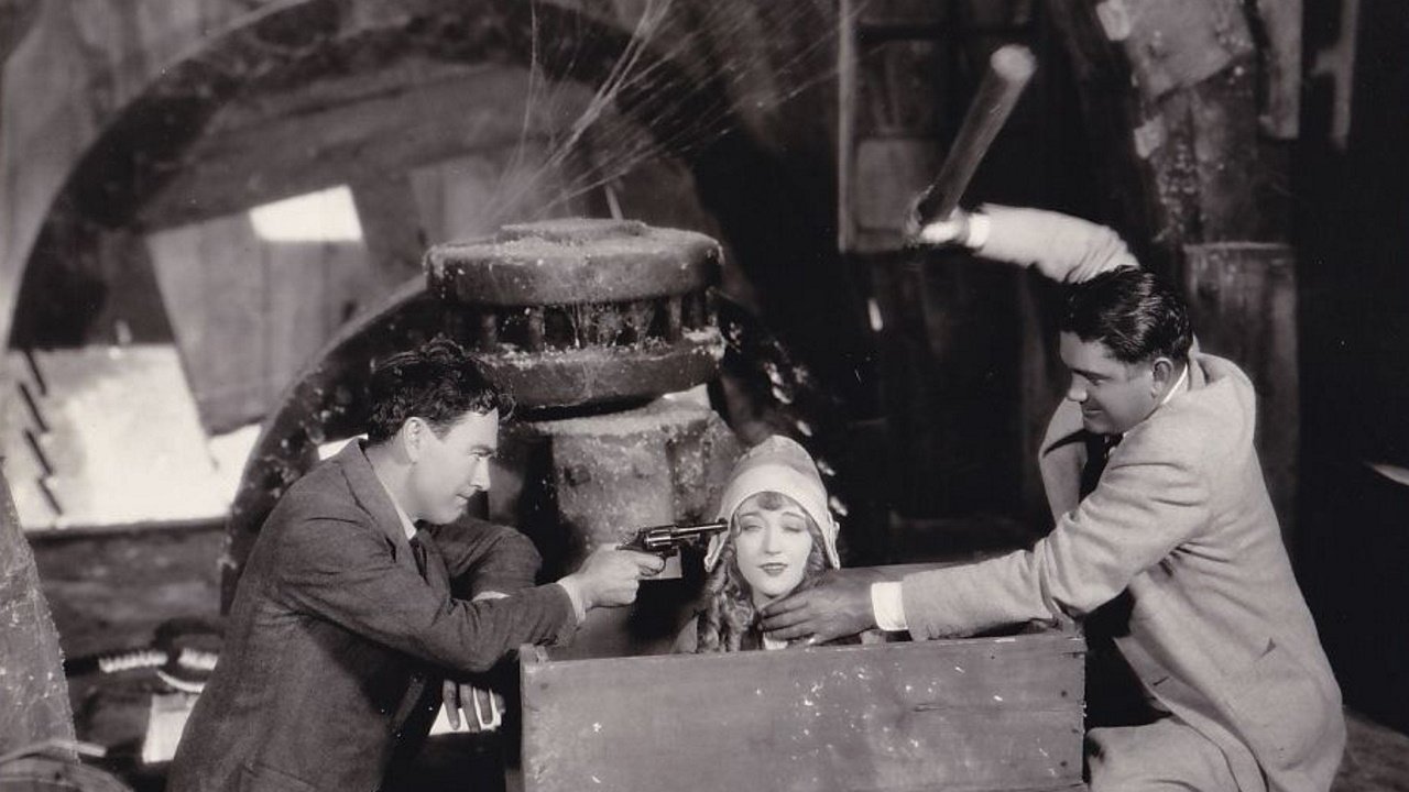 The Red Mill (1927)