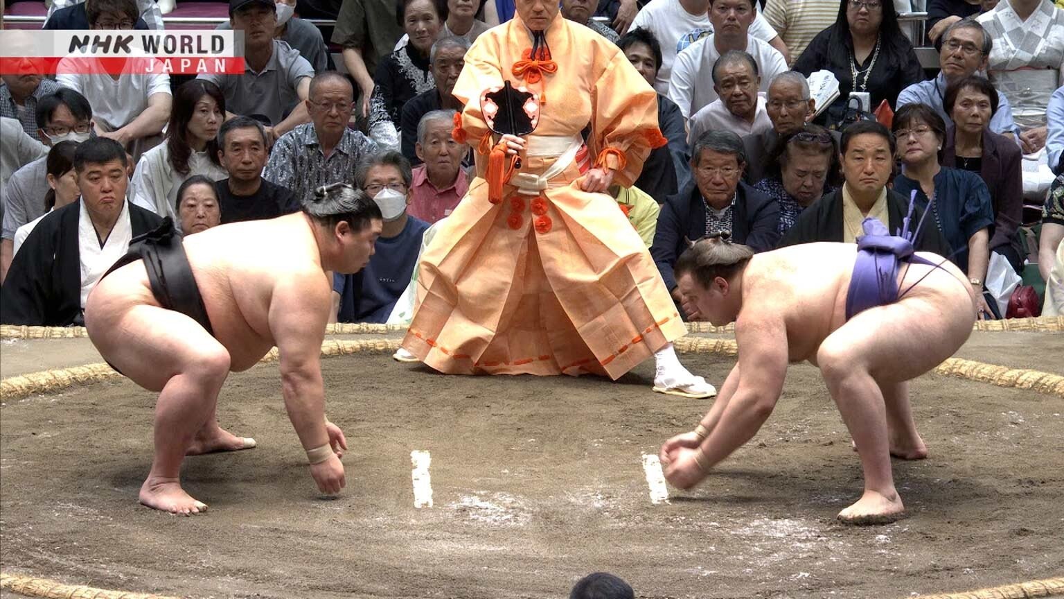 GRAND SUMO Highlights 31x11