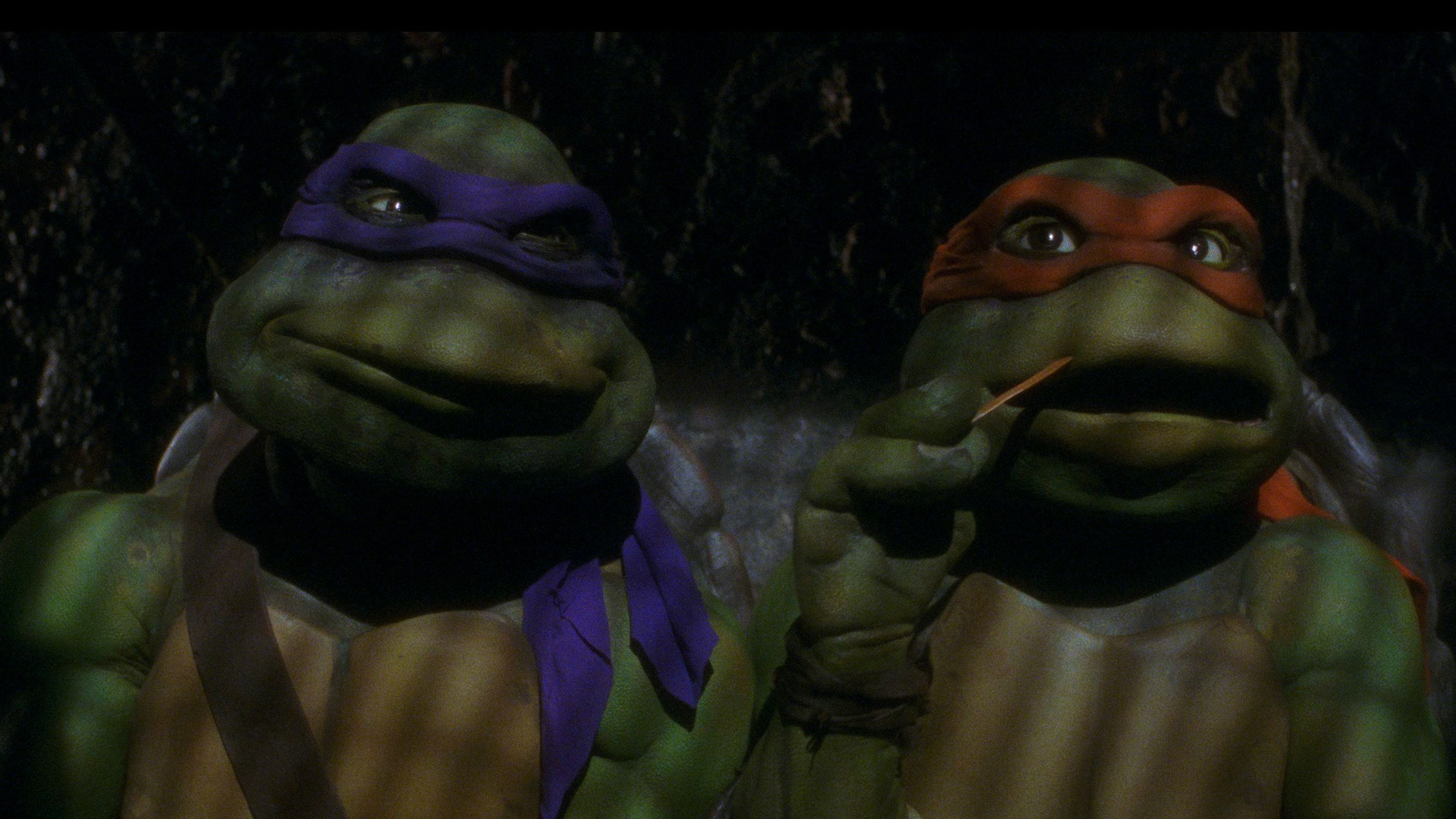Teenage Mutant Ninja Turtles (1990)