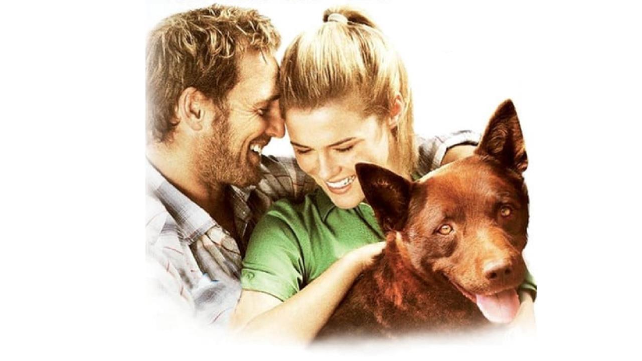 Kırmızı Köpek (2011)