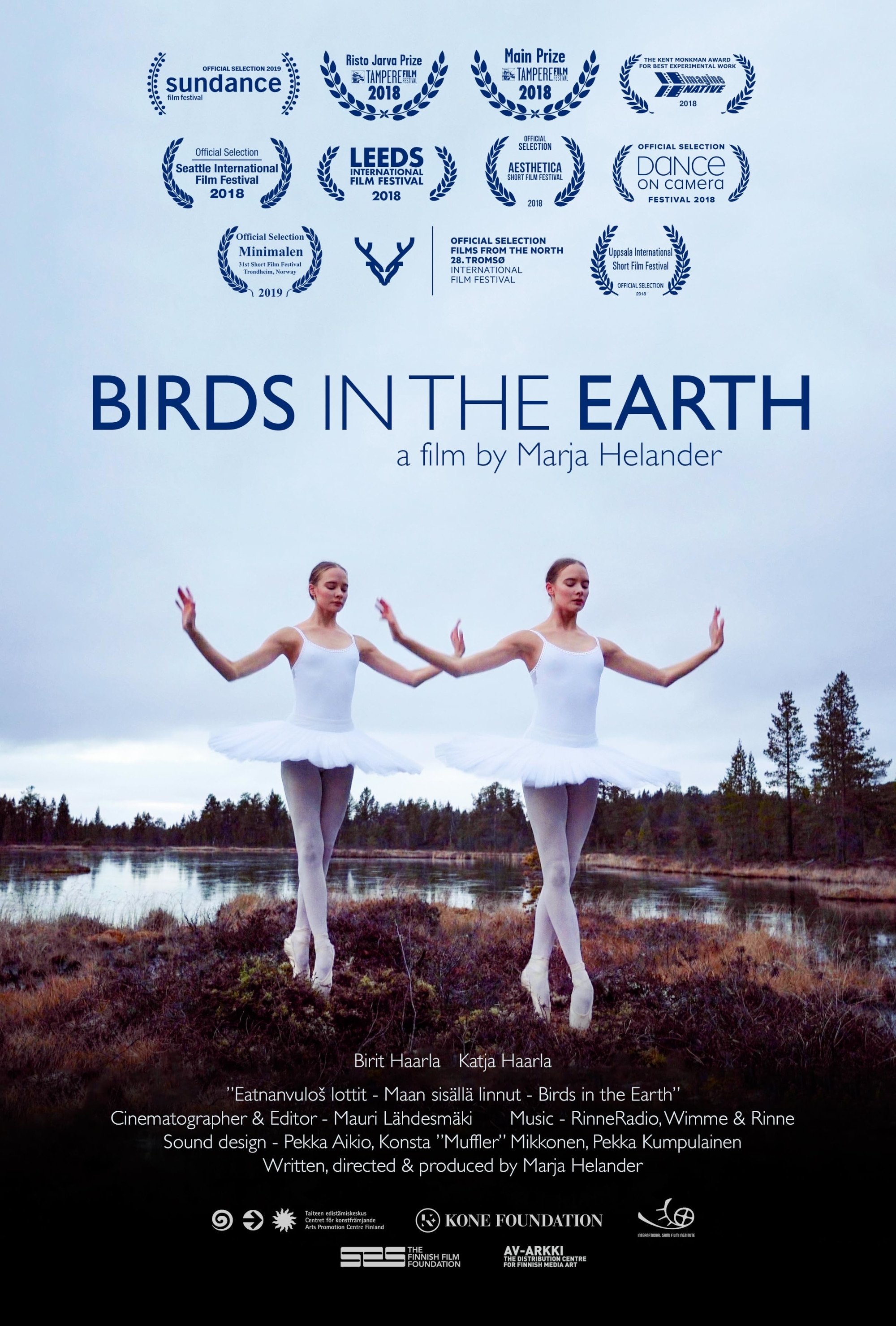 Birds in the Earth