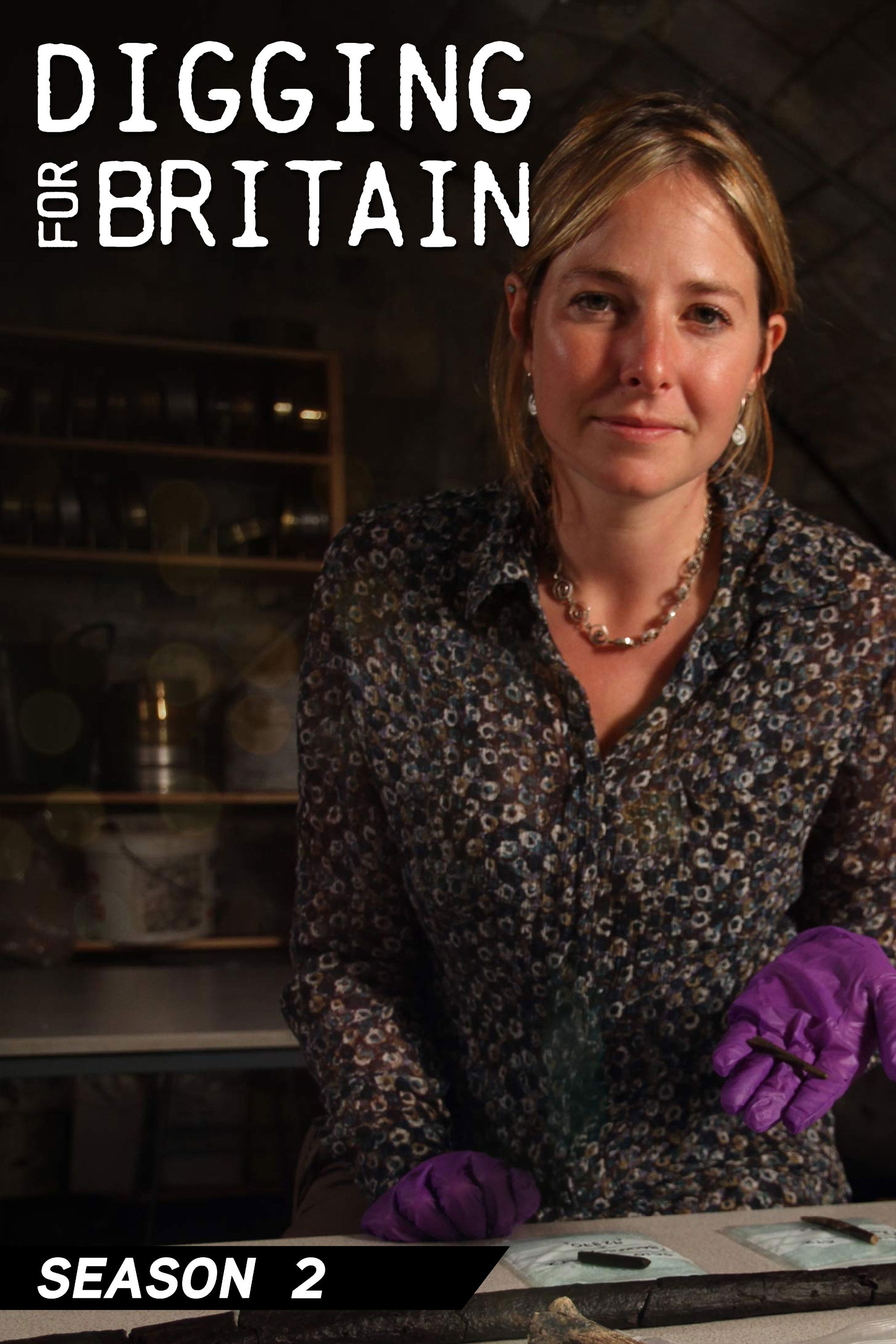 Digging for Britain - Season 2