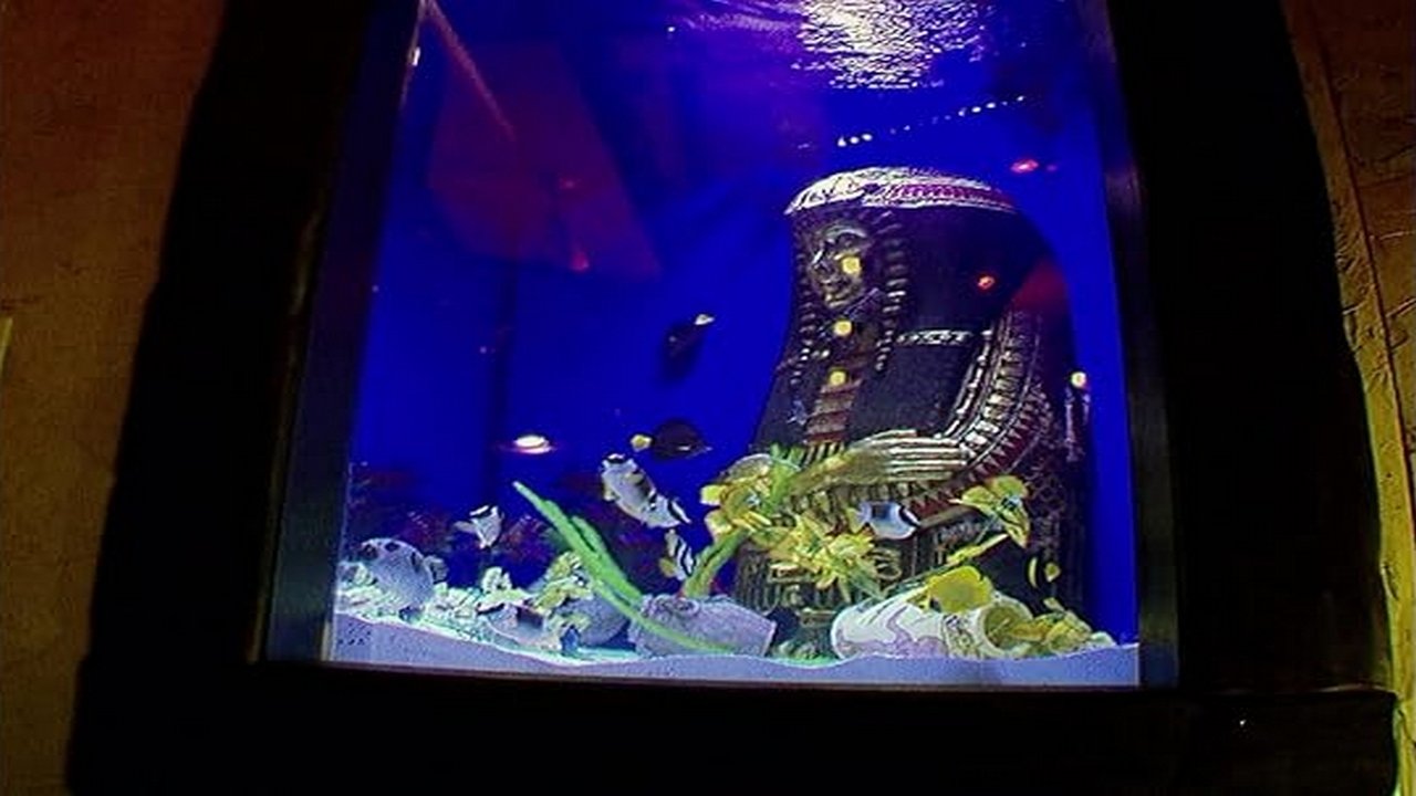 Tanked