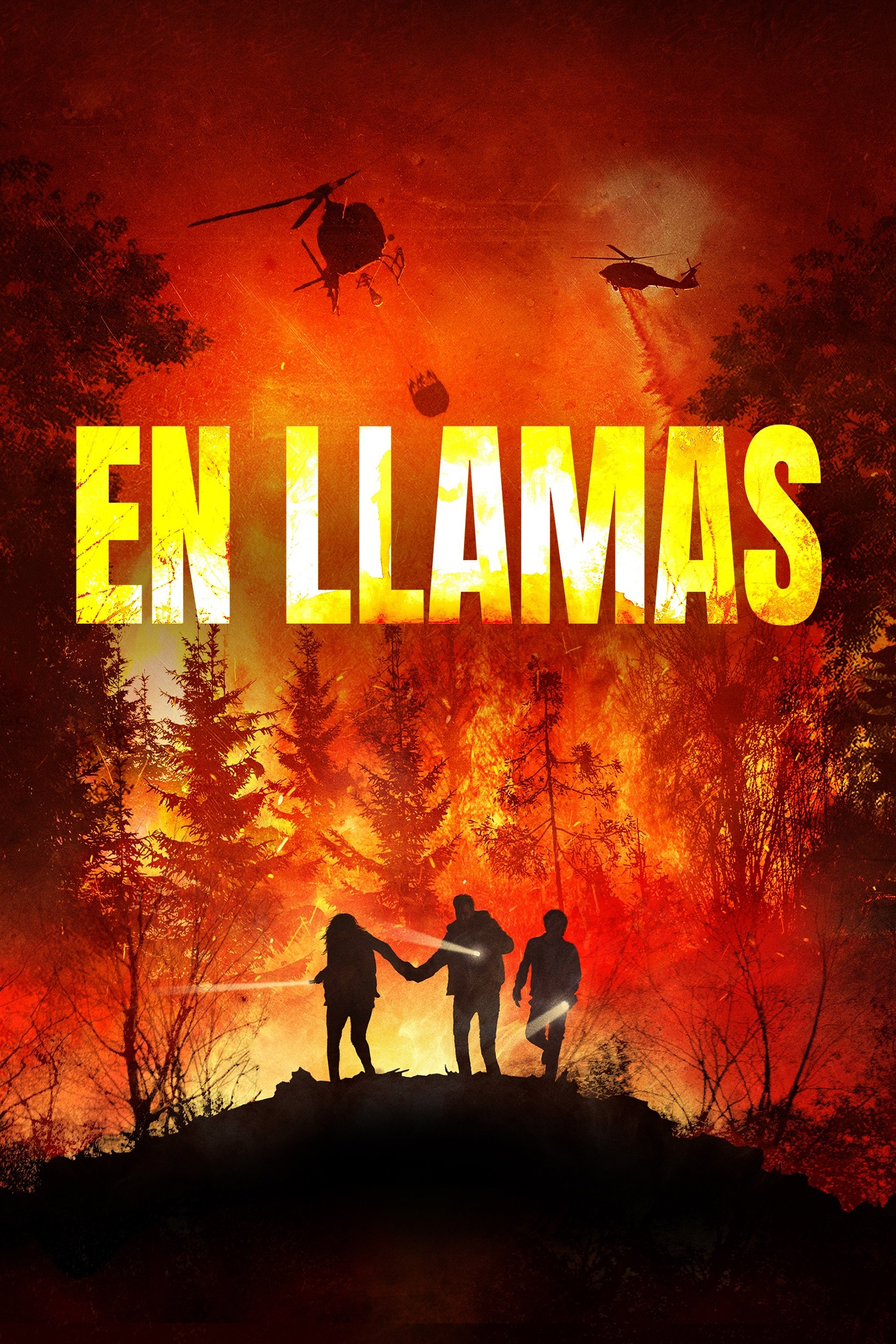 Poster de En llamas