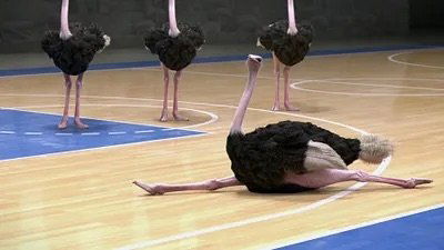 Athleticus