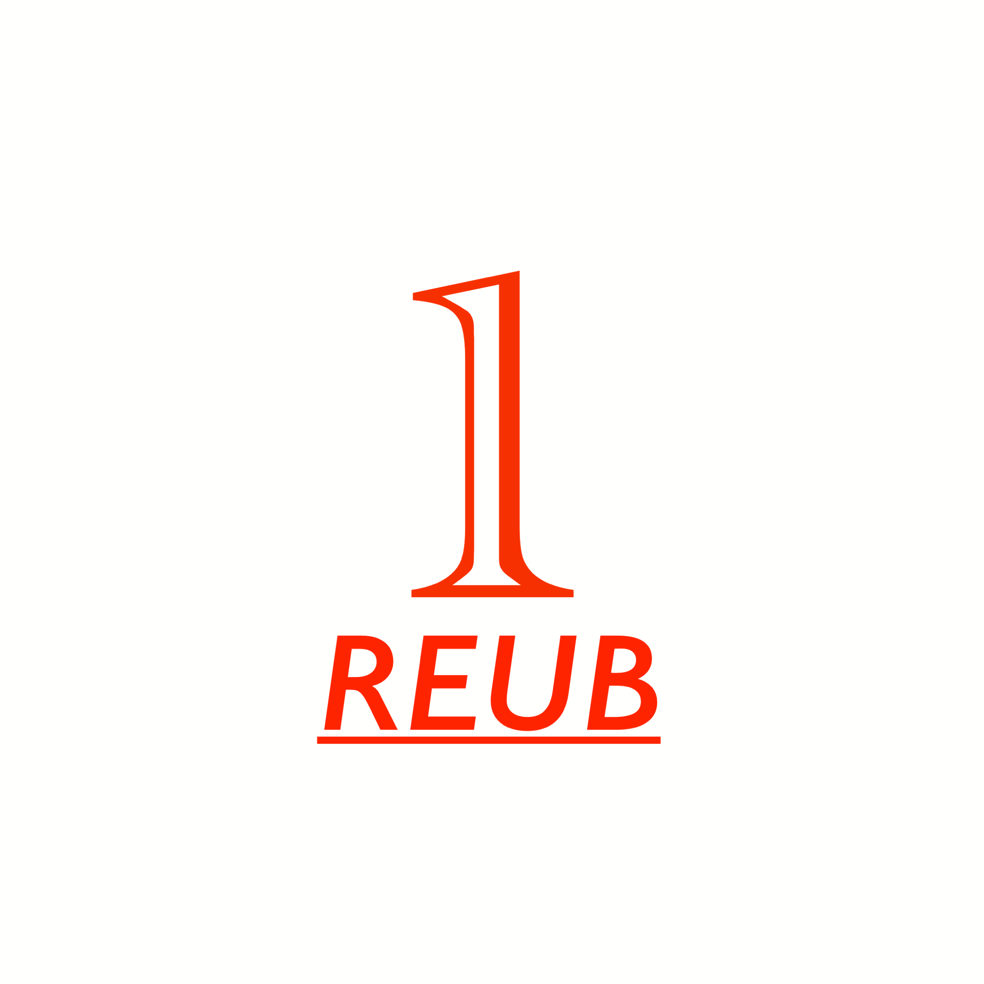 logo nextwork REUB1