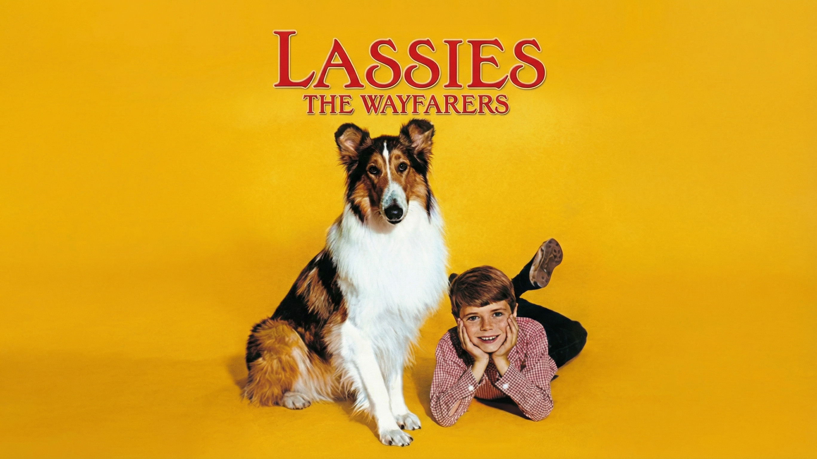Lassie: The Wayfarers
