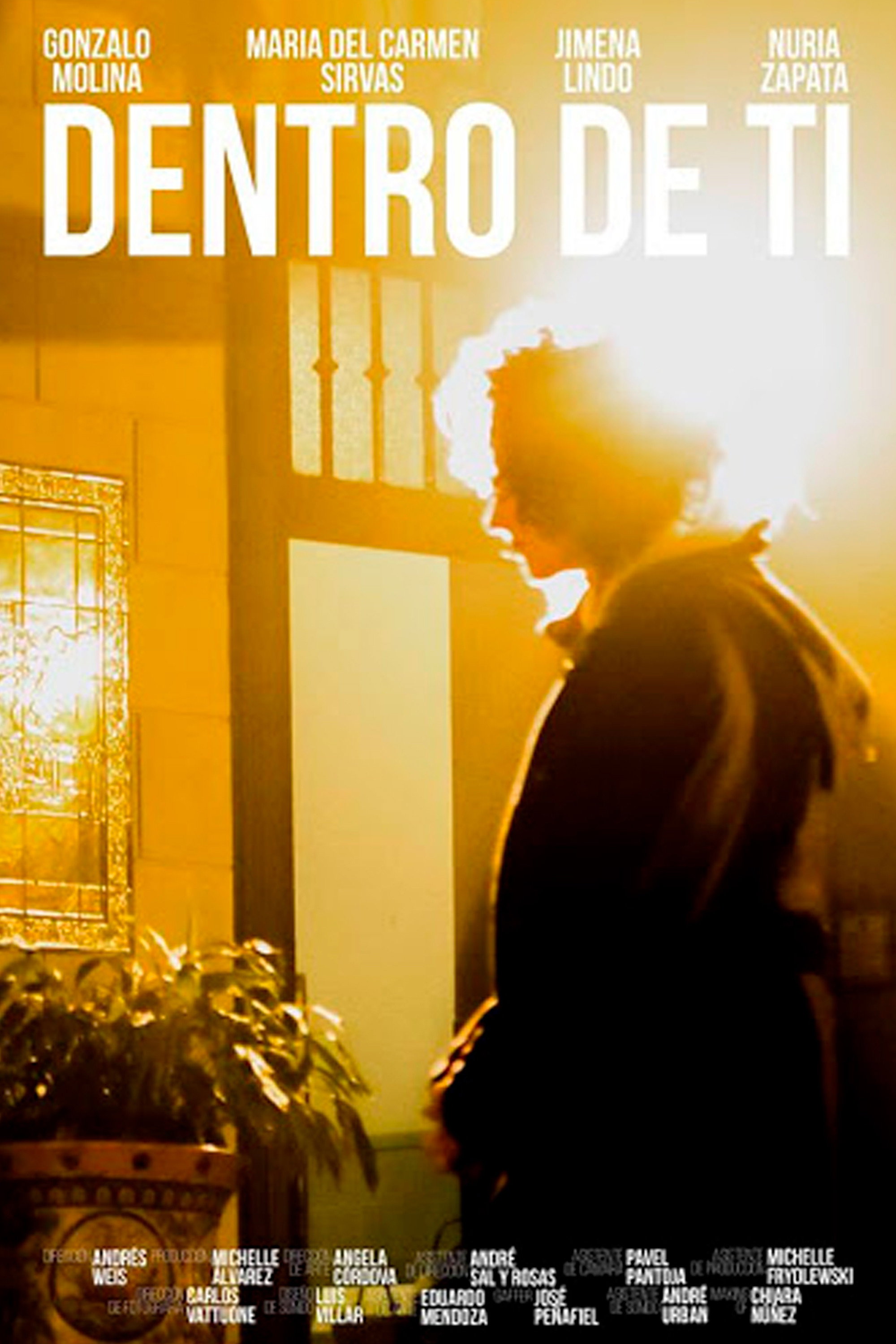 Dentro de ti Poster