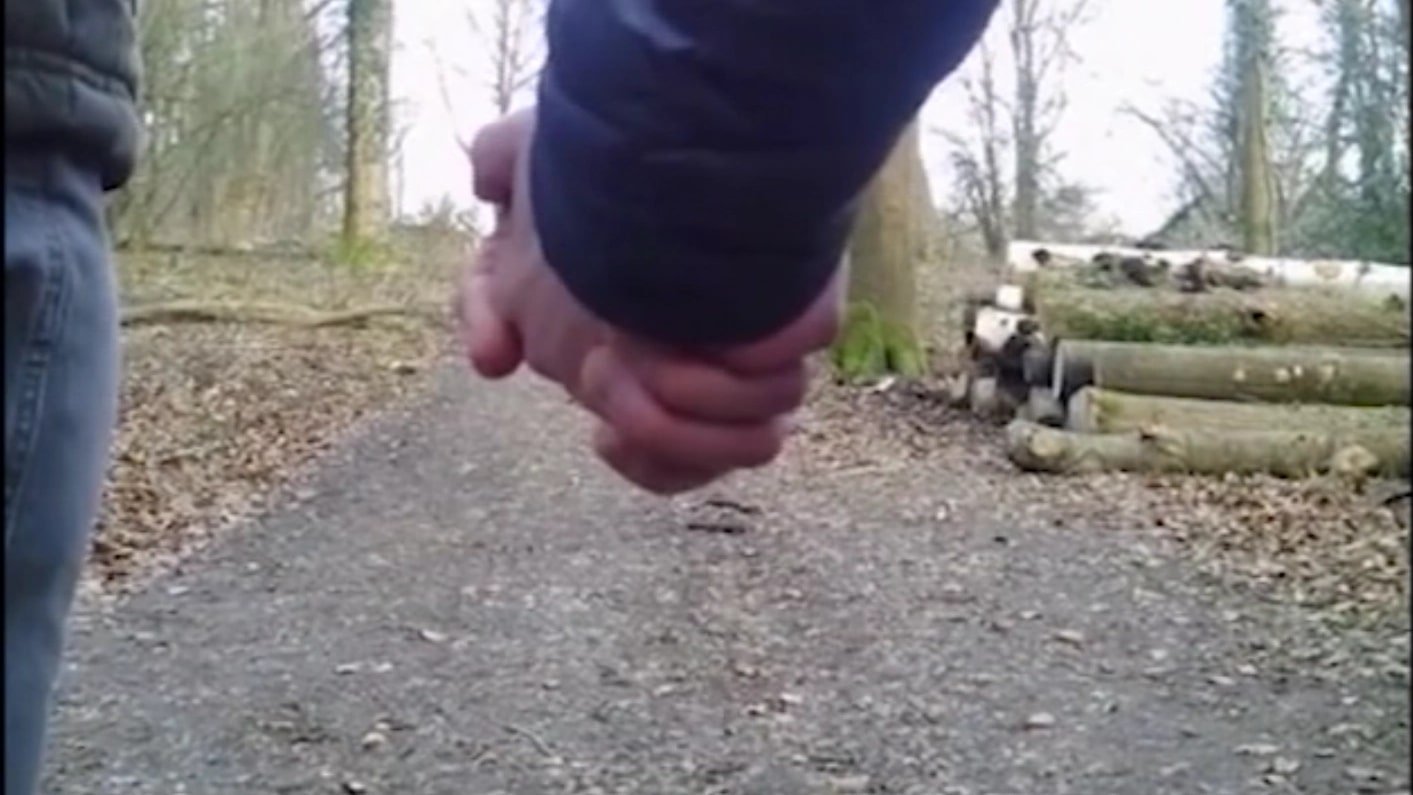 The Terror of Whippendell Wood (2021)