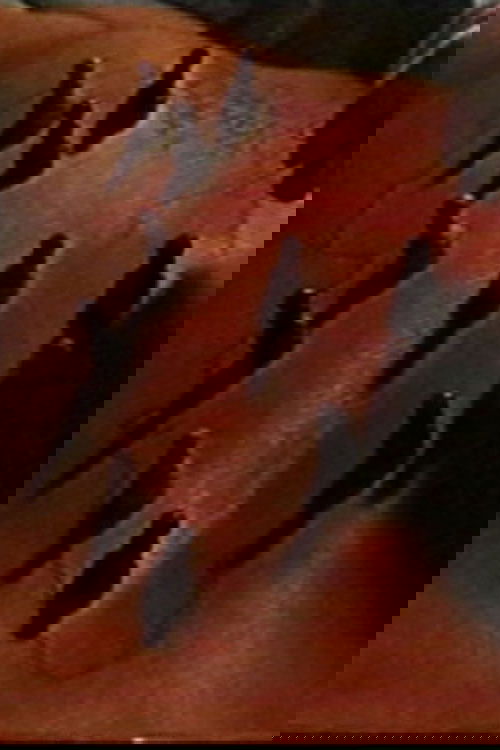 Content cover