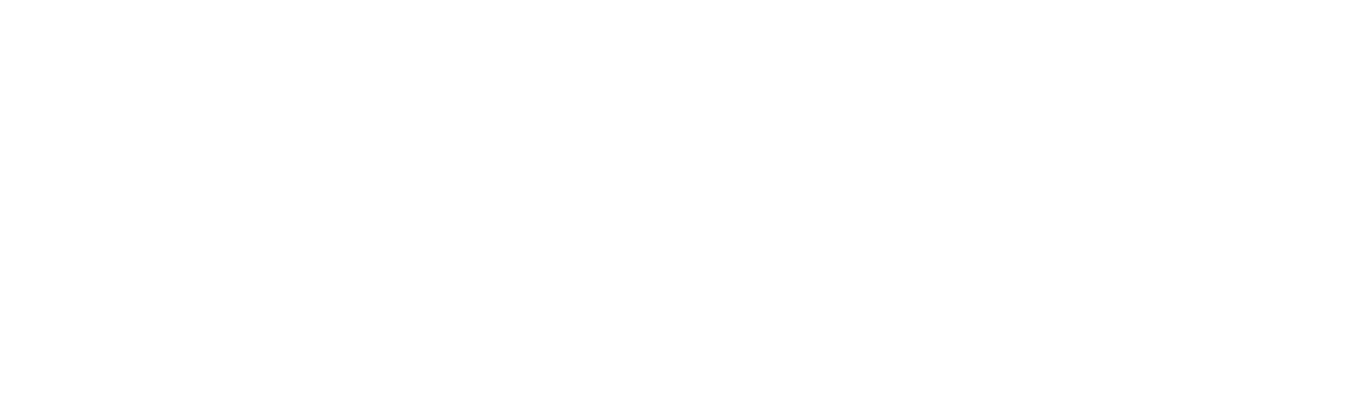 Deník z turné: Bruce Springsteen and The E Street Band