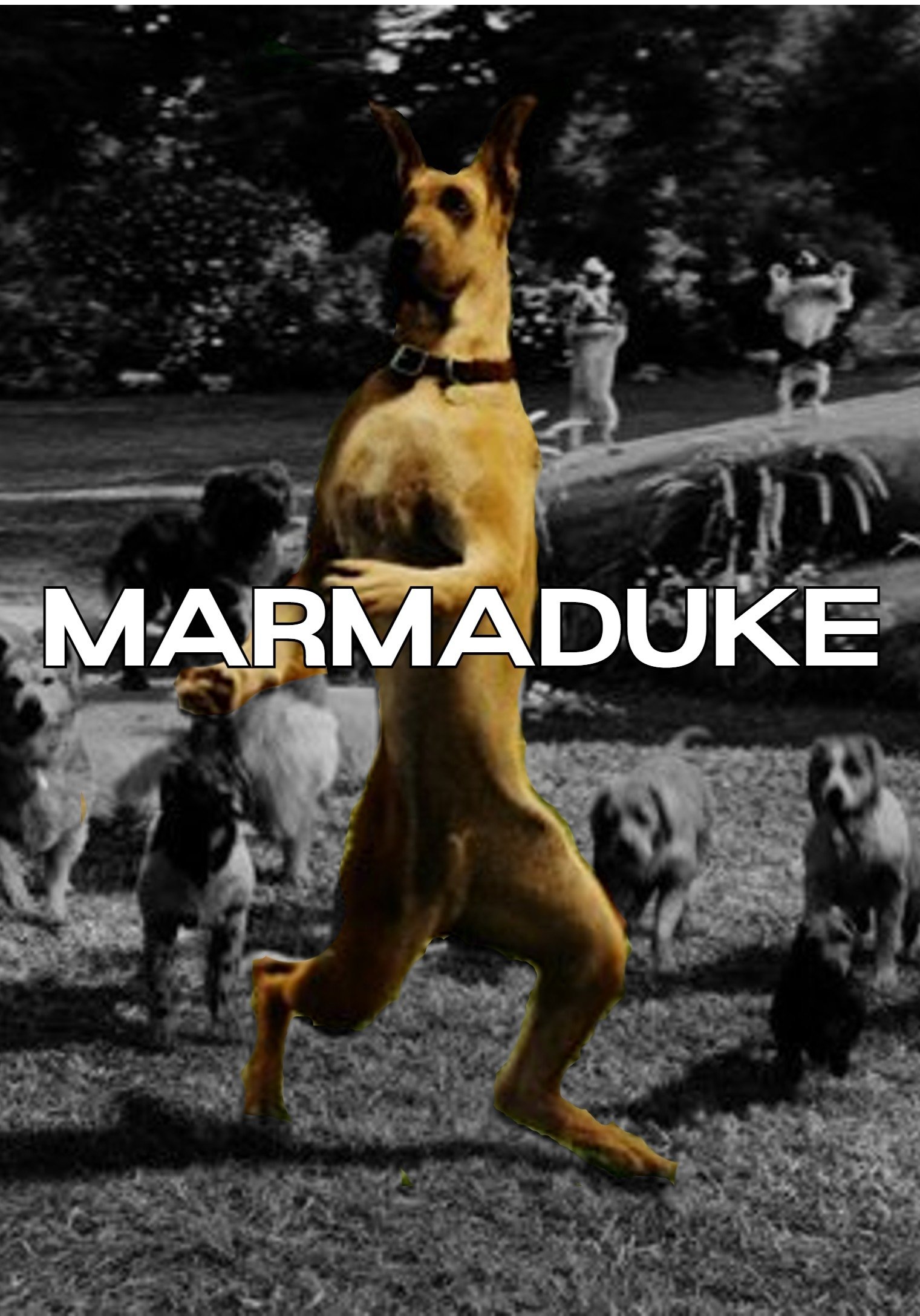 Marmaduke