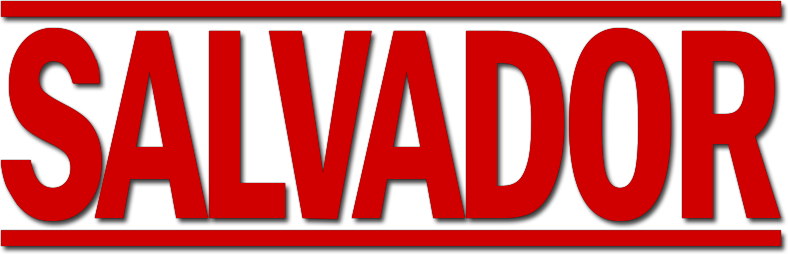 Salvador Logo