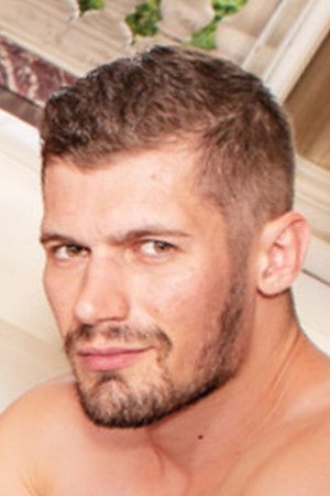 et billede af Vlad Castle