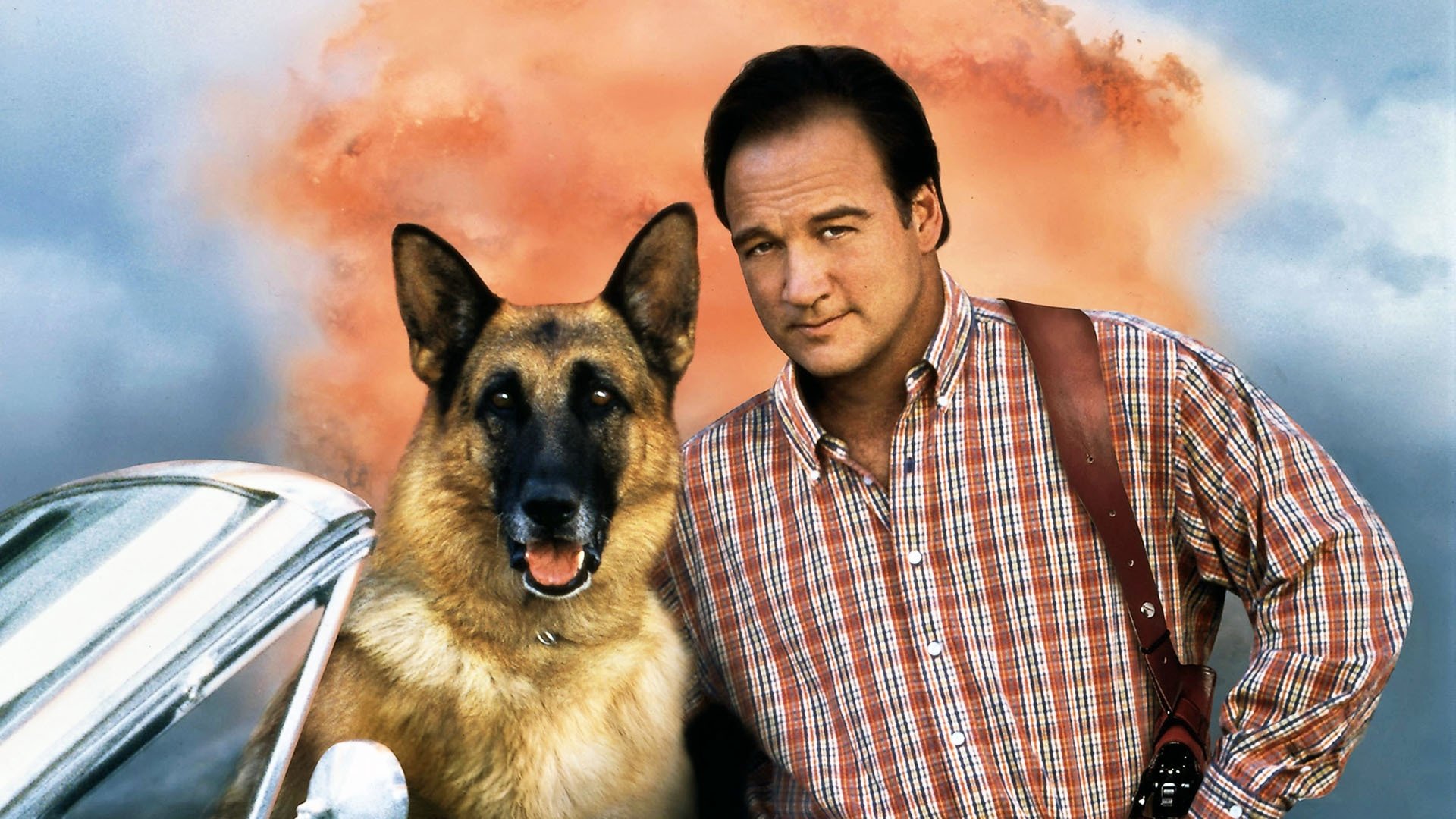 K-911 (1999)