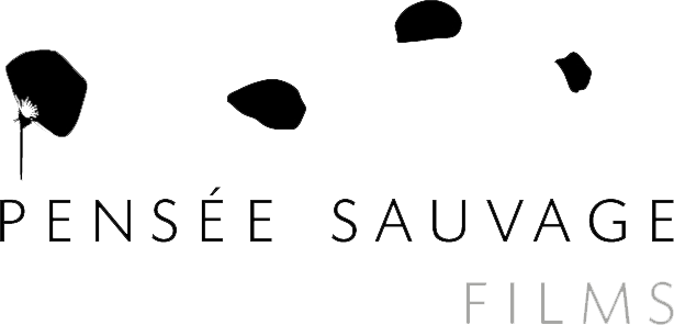 Logo de la société Pensée Sauvage Films 16933