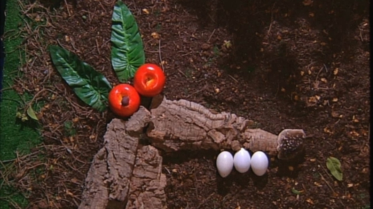 Episodio 12