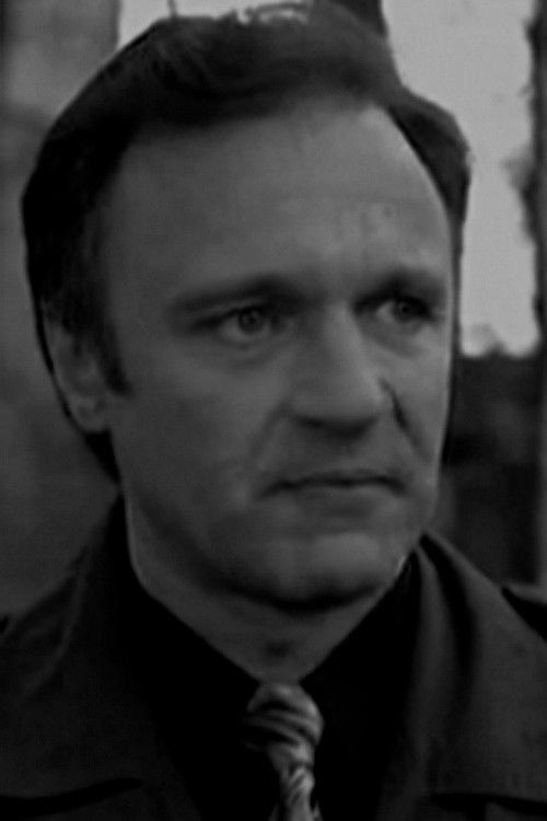 et billede af Vladimir Rublev