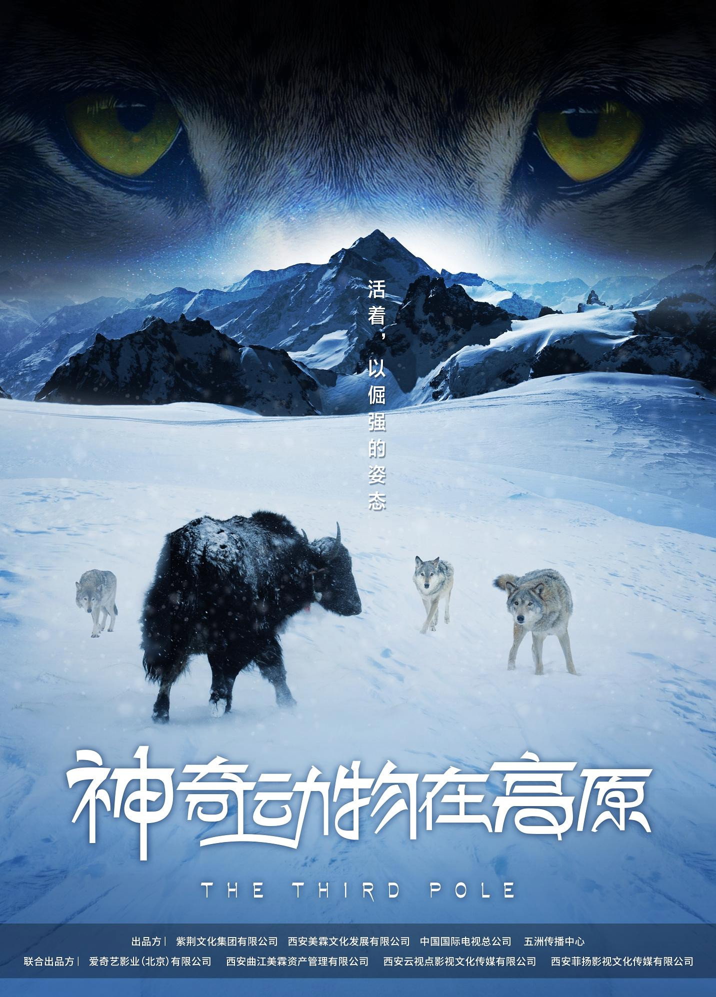 The Third Pole Poster