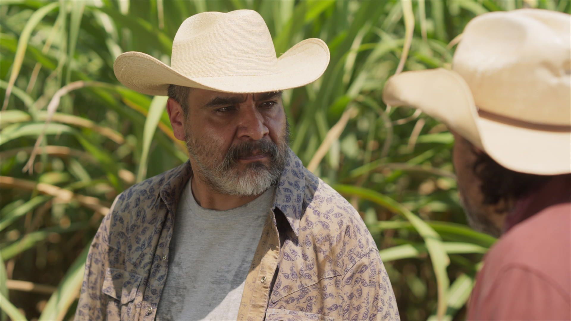 Dom&eacute;nica Montero Season 1 :Episode 49  La luz de la verdad