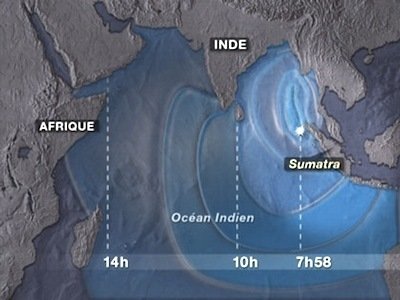 Le Dessous des cartes - Tsunamis, un phénomène naturel